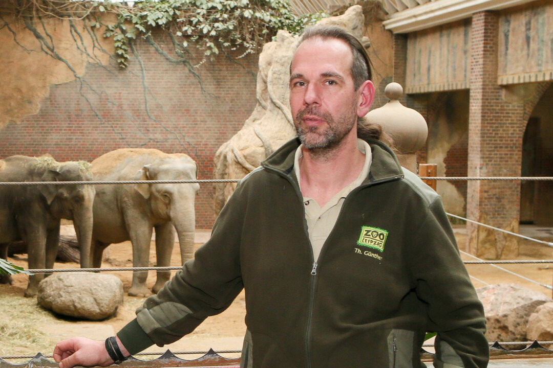 Erneut verschwindet populäres Tierpflegergesicht aus dem Zoo Leipzig - Thomas Günther arbeitete viele Jahre im Bereich Afrika im Zoo Leipzig.