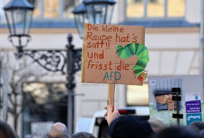 Erneute Proteste: Demo gegen Rechts in Zwickau - Zwickauer Hauptmarkt: Demo Für Weltoffenheit, Demokratie und Menschenwürde. Foto: Andreas Kretschel