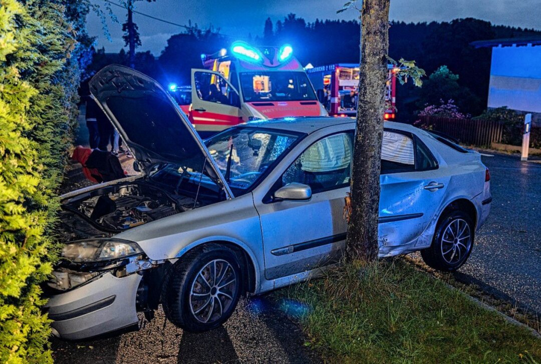 Erneuter Unfall auf Oelsnitzer Straße: Fahrer wird Vorfahrt genommen und kollidiert mit Baum - Auf der Oelsnitzer Straße in Neustadt kam erneut zu einem Unfall. Foto: David Rötzschke