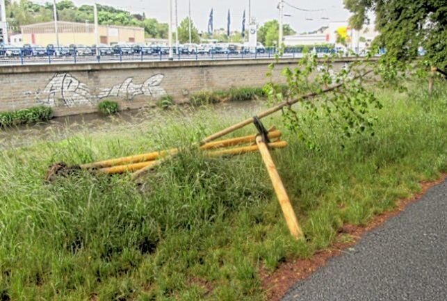 Erneut kam es im Plauener Stadtgebiet zu Vandalismus an Jungbäumen. Foto: Stadtverwaltung Plauen