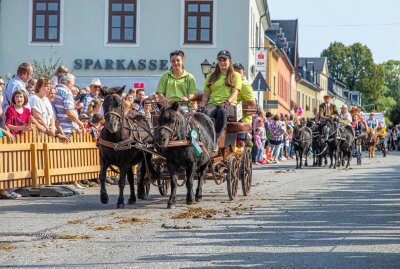 Erntedank: Zahlreiche Besucher strömen in die Bergstadt - 28. Pferdetag und 24. Erntedankfest in Zwönitz. Foto: André März