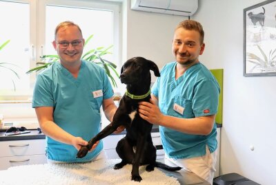 Erster Spatenstich für neues Zentrum für Kleintiermedizin in Annaberg - In Annaberg-Buchholz entsteht eine moderne Tierklinik. Foto: Ilka Ruck