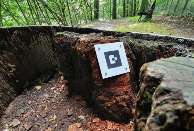 Erzgebirgische Sagenwesen werden in Erdmannsdorf lebendig - Die Barcode-Marker sind auch in Baumstämmen versteckt. Foto: Andreas Bauer