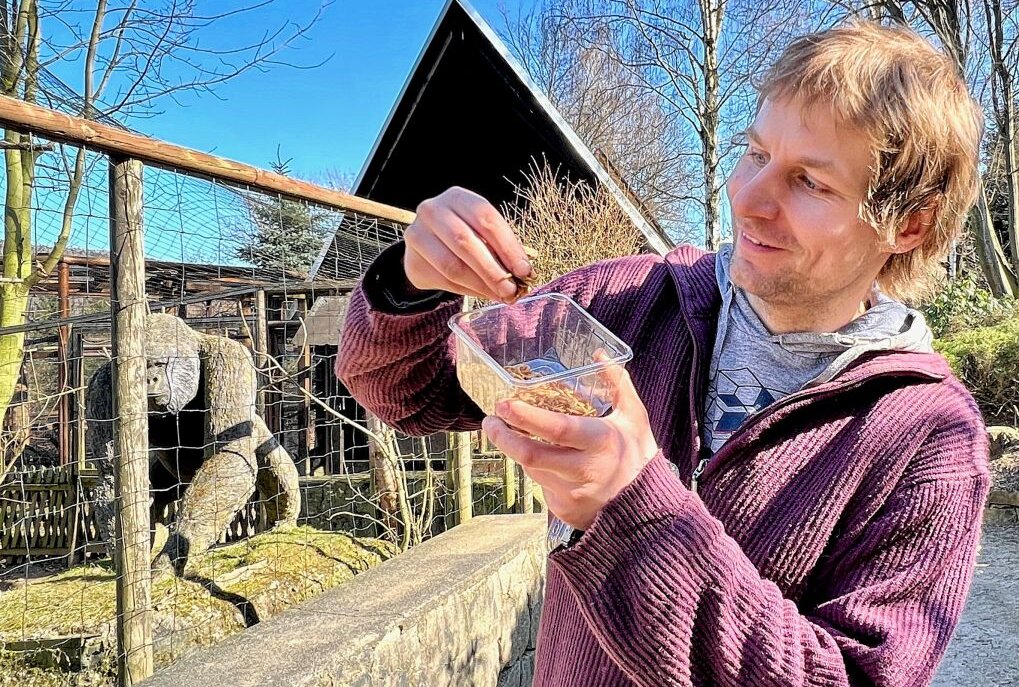 Exotische Hühner im Zoo der Minis - Mit kleinen Leckereien kann Zootierpfleger Peter Hömke den Tieren im Auer Zoo der Minis immer eine Freude machen. Foto: Ralf Wendland