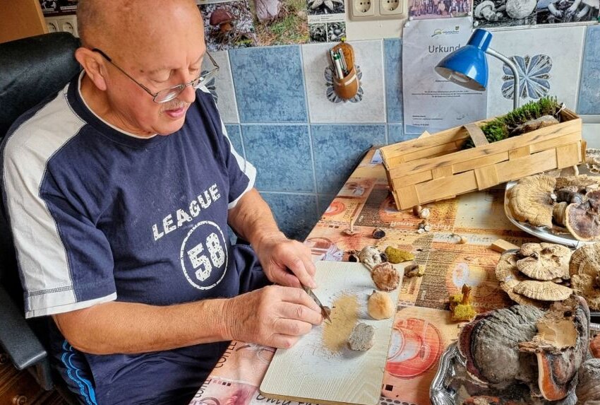 Experte rettet kleines Mädchen aus Mittelsachsen vor Pilzvergiftung - Klaus Taubert bei der Bestimmung von Pilzen in seinem "Pilzzimmer". Foto: Andrea Funke