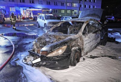 Fahrzeug geht kurz nach Fahrtbeginn in Flammen auf - Das Auto brannte vollständig aus. Foto: Roland Halkasch