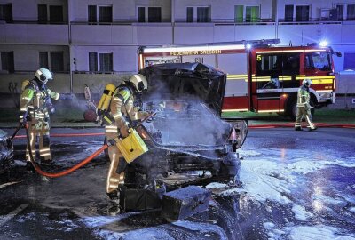 Fahrzeug geht kurz nach Fahrtbeginn in Flammen auf - Das Auto brannte vollständig aus. Foto: Roland Halkasch