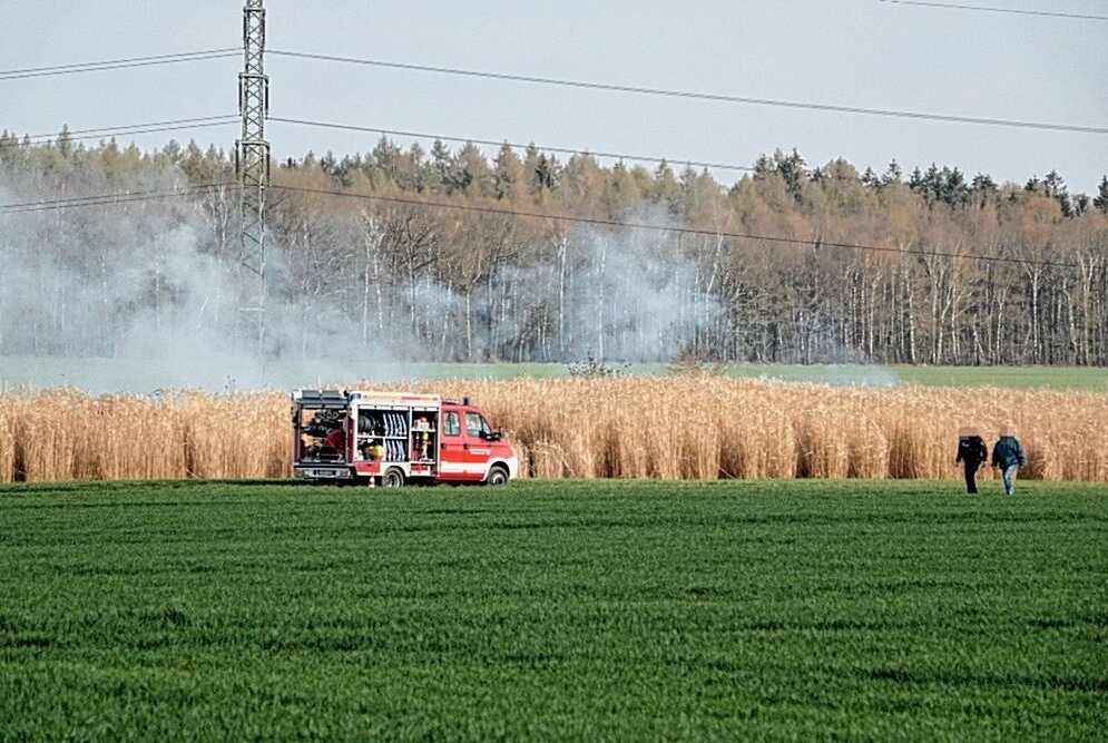 Feld in Flammen: Feuerwehreinsatz in Rossau - Am Freitagnachmittag kam es zu einem Feldbrand in Rossau. Foto: Jan Härtel