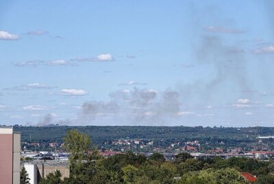 Feldbrand in Dresden: Bauer half bei Brandbekämpfung - Ein Feld in Dresden brannte. Foto: Roland Halkasch