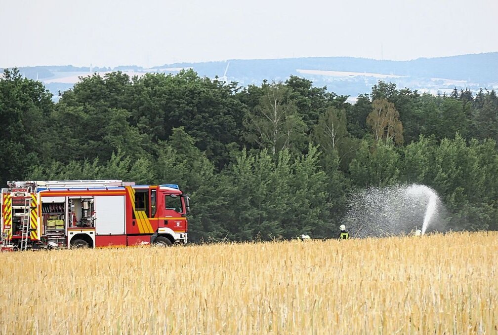 Gegen 18 Uhr wurden die Feuerwehren aus Hartenstein,Thierfeld und Neuwürschnitz zu einem Feldbrand an der S255 gerufen. Foto: Niko Mutschmann
