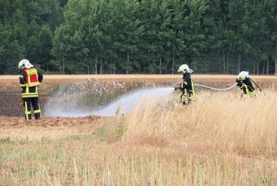 Feldbrand in Hartenstein: Bauern der Region kamen zur Hilfe - Gegen 18 Uhr wurden die Feuerwehren aus Hartenstein,Thierfeld und Neuwürschnitz zu einem Feldbrand an der S255 gerufen. Foto: Niko Mutschmann