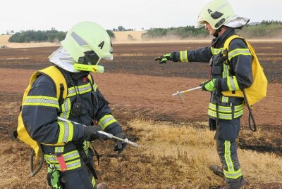 Feldbrand in Hartenstein: Bauern der Region kamen zur Hilfe - Gegen 18 Uhr wurden die Feuerwehren aus Hartenstein,Thierfeld und Neuwürschnitz zu einem Feldbrand an der S255 gerufen. Foto: Niko Mutschmann