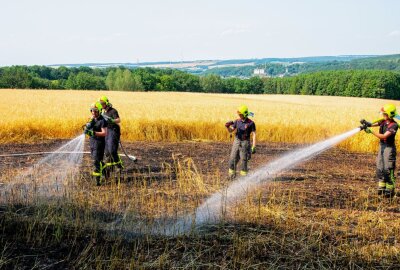 Feldbrand in Lichtenstein: Hitze erschwert Löscharbeiten - In Lichtenstein kam es zu einem Feldbrand. Foto: Alexander Wilhelm
