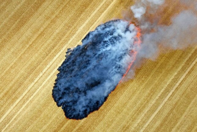 In Zwickau Ortsteil Mosel ist ein Feldbrand bei Erntearbeiten ausgebrochen. Foto: privat