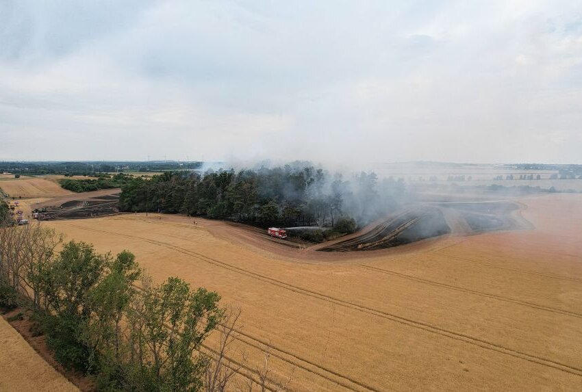 Feldbrand nahe Taucha - Heute kam es zu einem Feldbrand bei Sehlis. Foto: Christian Grube