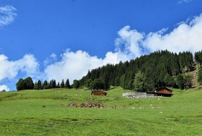 Ferientipp: Urlaub in Tirol - Wildpark Aurach bei Kitzbühel. Foto: Maik Bohn