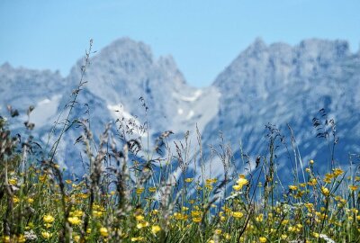 Ferientipp: Urlaub in Tirol - Panorama. Foto: Maik Bohn