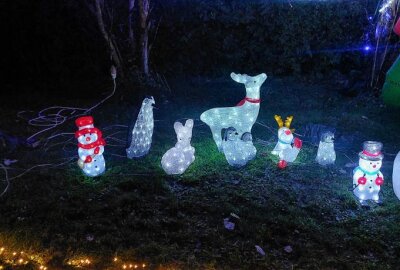 Festliche Beleuchtung: In Glauchau wird es weihnachtlich - Zahlreiche Figuren sind Teil der Weihnachtsdekoration. Foto: Privat