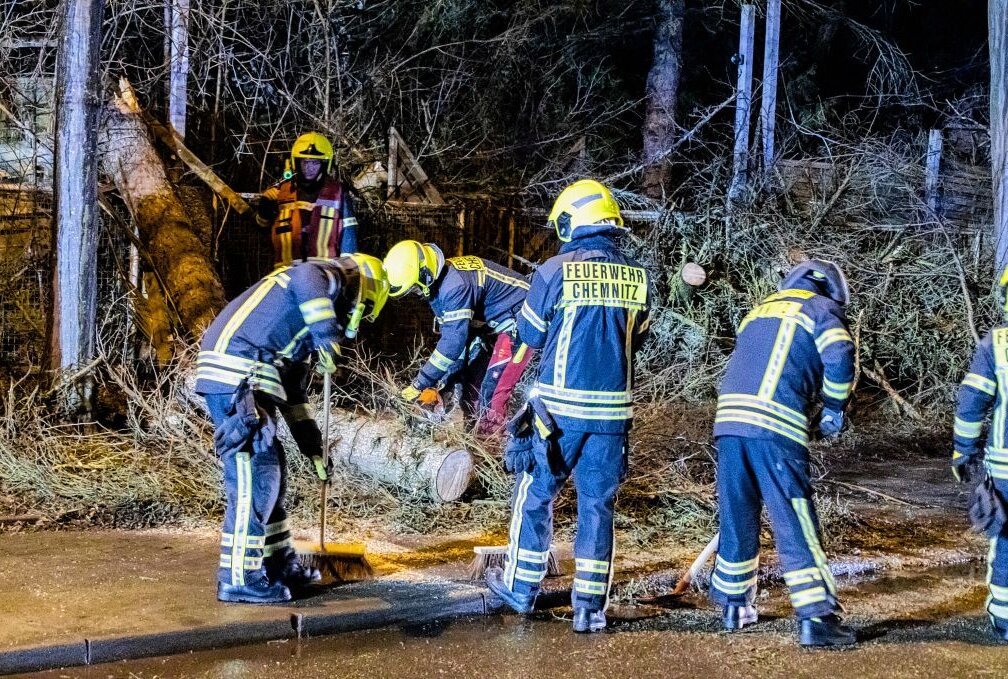 Feuerwehr im Dauereinsatz: Bäume stürzen auf Straßen - Die Feuerwehren sind im Dauereinsatz, um die Sturmschäden zu beseitigen. Foto: André März