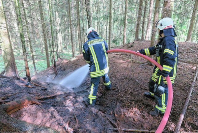 Feuerwehr im Einsatz: Waldbrand in Raschau - In Raschau kam es zu einem Waldbrand. Foto: Niko Mutschmann