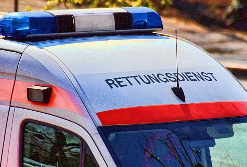 Feuerwehr, Rettungsdienst, Polizei: Kühlbox löst Einsatz in Pension aus - Symbolbild. Foto: TechLine/ Pixabay