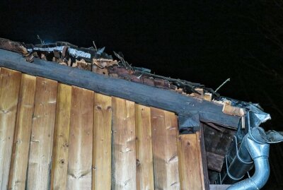 Feuerwehr verhindert Unglück in Aue: Baum war in Schieflage - Auch das Dach des Schuppens wurde vom herabfallenden Baum beschädigt. Foto. Niko Mutschmann