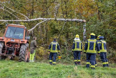 Feuerwehreinsätze nach Sturm im Vogtland - Treuen "Am Rollberg" baum kracht auf Telefonleitung.  Foto: blst/David Rötzschke