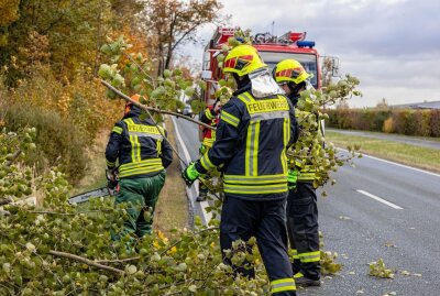 Feuerwehreinsätze nach Sturm im Vogtland -  Treuen Bundesstraße 173. Foto: blst/David Rötzschke