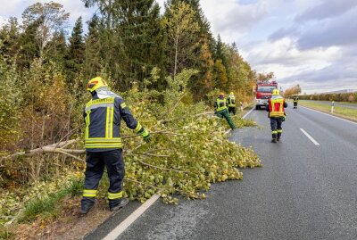 Feuerwehreinsätze nach Sturm im Vogtland - Treuen Bundesstraße 173.  Foto: blst/David Rötzschke