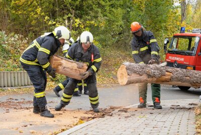 Feuerwehreinsätze nach Sturm im Vogtland - Auerbach Crinitzleithen Baum blockiert Straße.  Foto: blst/David Rötzschke