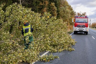 Feuerwehreinsätze nach Sturm im Vogtland -  Treuen Bundesstraße 173.  Foto: blst/David Rötzschke