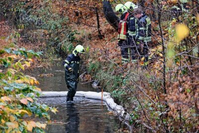 Feuerwehreinsatz in Chemnitz: Ölige Flüssigkeit auf dem Pleißenbach - Am Freitag wurde Öl/ Diesel auf dem Pleißenbach festgestellt. Foto: Harry Haertel