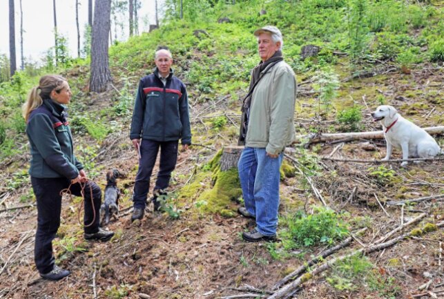 Waldbesitzer Caio Koch-Weser (r.) zusammen mit Maria Adner und Steffen Kühn von Sachsenforst im Wald bei Reinsberg. Foto: Wieland Josch