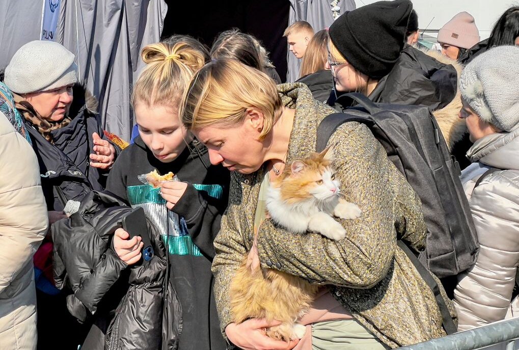 Flüchtlingsströme: So verläuft die Flucht aus der Ukraine - Flüchtlinge aus der Ukraine bringen auch ihre Haustiere mit Foto:Daniel Unger