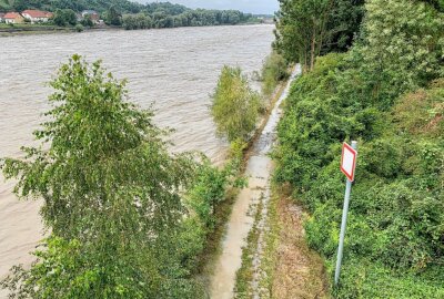 Flutwelle aus Tschechien: Elbanstieg auf vier Meter erwartet - Landeshochwasserzentrale warnt vor Hochwasser in Dresden. Foto: Daniel Unger