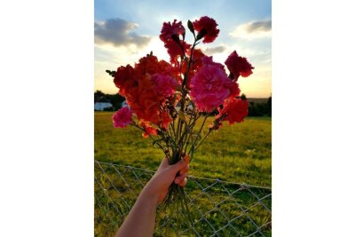 Diese Fotos zur Blumenpracht wurden uns am ersten Tag der Fotochallenge zugeschickt.