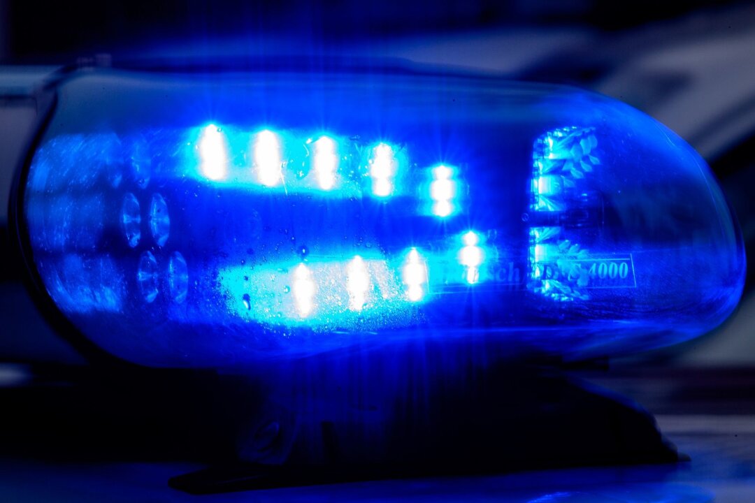 Frei laufender Hund in Torgau wird aggressiv - Blaulicht leuchtet auf einem Fahrzeug der Polizei.
