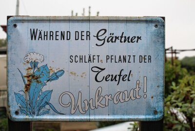 Freiberg: Gartenfreunde feiern gelungene Premiere - Kleine Accessoires verschönern die Gärten. Foto: Renate Fischer