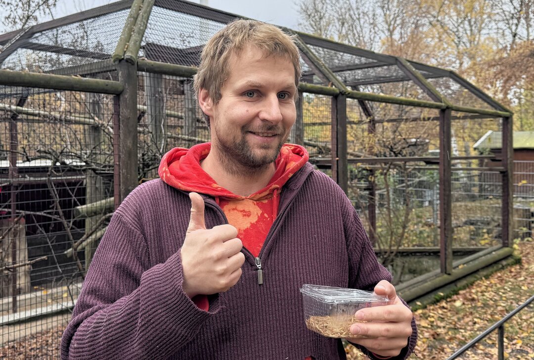 Freude im Zoo der Minis Aue: Zwillinge sind geboren - Zootierpfleger Peter Hömke vorm Gehege der Weißbüschelaffen. Foto: Ralf Wendland