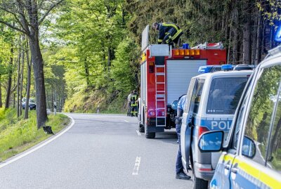 Frontalcrash in Großolbersdorf: PKW kommt von Fahrbahn ab - Beide Fahrer wurden ins Krankenhaus gebracht. Foto: André März