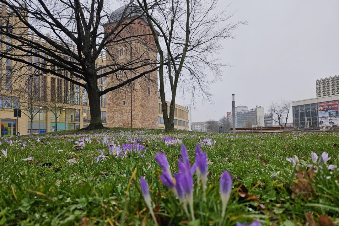 Frühlingsboten vor dem Roten Turm in der Chemnitzer Innenstadt.