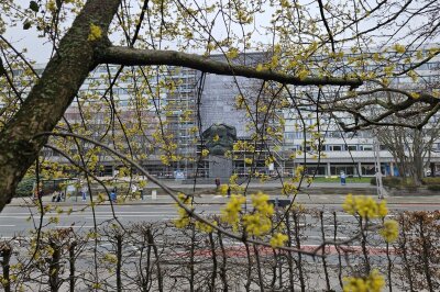 Die ersten Knospen in der Innenstadt. Im Hintergrund das Karl-Marx-Monument.