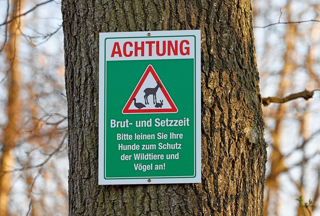 Frühlingszeit ist Leinenpflichtzeit! - Diese Schilder gibt es derzeit an vielen Wald- und Feldwegen.Foto: Markus Pfeifer