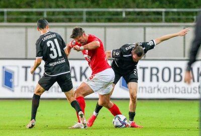 FSV Zwickau auch am 8. Spieltag weiter ohne Sieg - Niklas Landgraf (31, Halle), Ronny König / Koenig (15, Zwickau) und Niklas Kastenhofer (3, Halle). Foto: Gabor Krieg