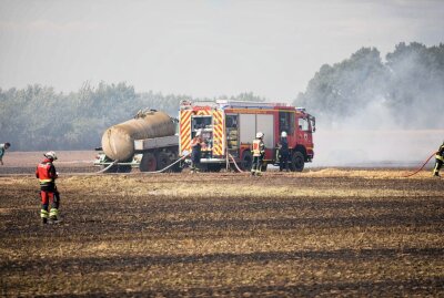 Fünf Hektar Feld zwischen Großschirma und Langhennersdorf in Flammen - Heute kam es zu einem Feldbrand zwischen Großschirma und Langhennersdorf. Foto: Marcel Schlenkrich