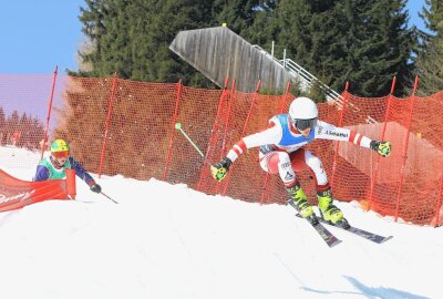 Fünf Nationen beim FIS Ski Cross am Fichtelberg dabei - Ausgesprochen spektakulär ist die Sportart Ski Cross. Foto: Thomas Fritzsch/PhotoERZ