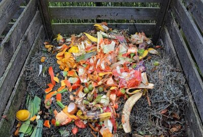 Garten ist nicht immer grün: Tipps für einen nachhaltigen Garten - Faszination Kompost: Aus "Abfällen" wird fruchtbarer Humus-Boden voller Leben. Wichtig ist ein gutes Verhältnis der Verschiedenen Beigaben. Dies lässt sich auch im Kleinen mit einer Wurmkiste praktizieren. Diese ist schnell nach Anleitung gezimmert und verbreitet keine unangenehmen Gerüche, wie man es vielleicht erwarten würde. Foto: Ben_Kerckx/Pixabay