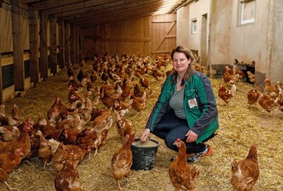 Geflügelpest lässt Sorgen der Geflügelhalter wachsen - Sarah Kretzschmar in einem ihrer Hühnerställe. Foto: Markus Pfeifer