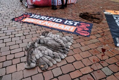 Gegen das Töten von Pelztieren: Tierschutzaktion auf dem Markt - Proteste gegen das Töten von Pelztieren. Foto: Harry Haertel