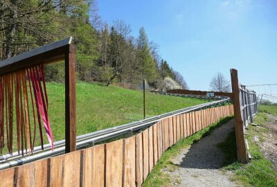 Gelenau treibt Planung eines "Feel-Good-Dorfs" voran - Ein Highlight ist die am Waldrand gelegene Alpine-Coaster-Bahn. Foto: Andreas Bauer